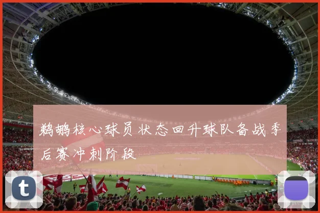 鹈鹕核心球员状态回升球队备战季后赛冲刺阶段