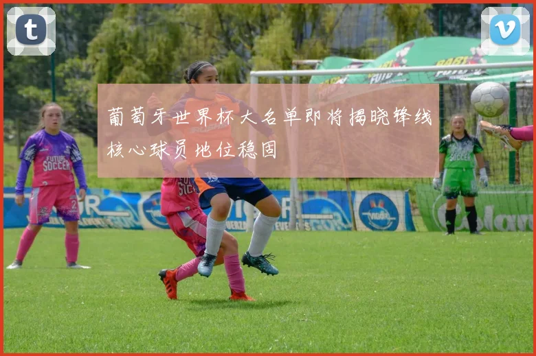 葡萄牙世界杯大名单即将揭晓锋线核心球员地位稳固