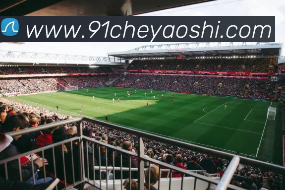 星空体育综合平台发展历程